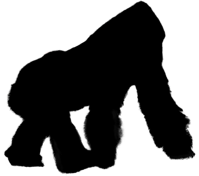 Ape
