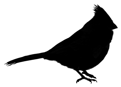 Cardinal