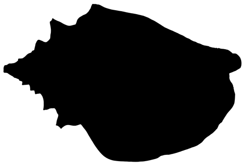 Conch