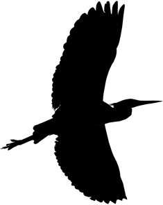 Crane