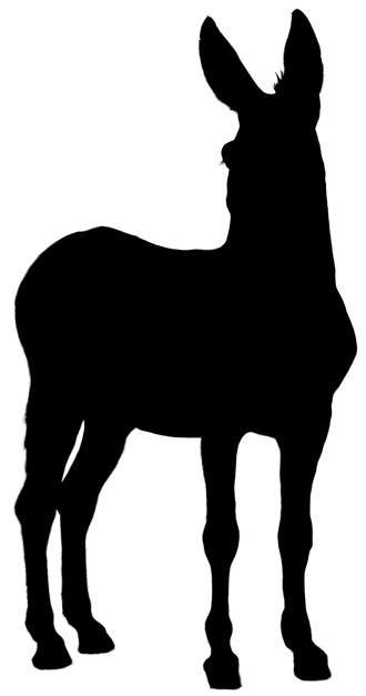 Donkey