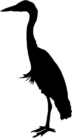 Heron