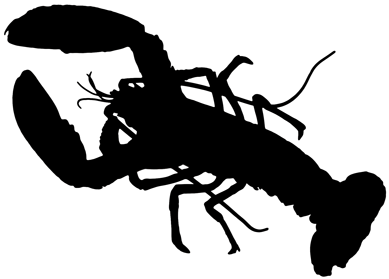 Lobster