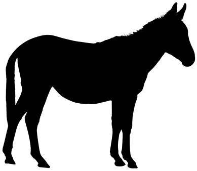 Mule