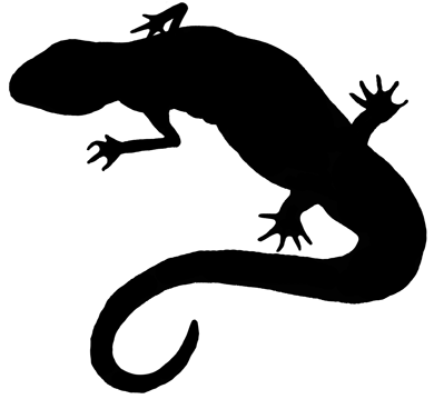 Newt