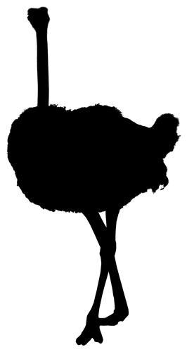 Ostrich
