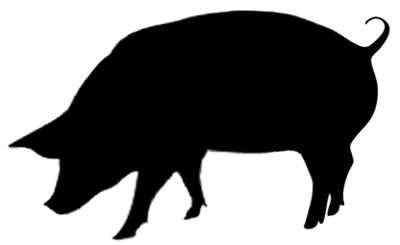 Pig